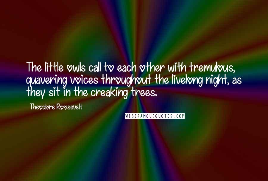 Theodore Roosevelt Quotes: The little owls call to each other with tremulous, quavering voices throughout the livelong night, as they sit in the creaking trees.