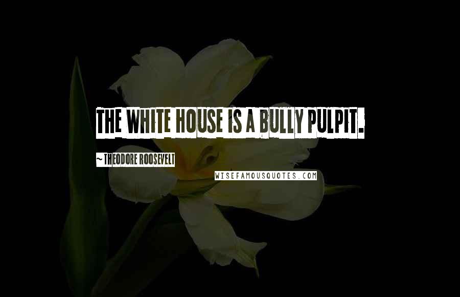 Theodore Roosevelt Quotes: The White House is a bully pulpit.