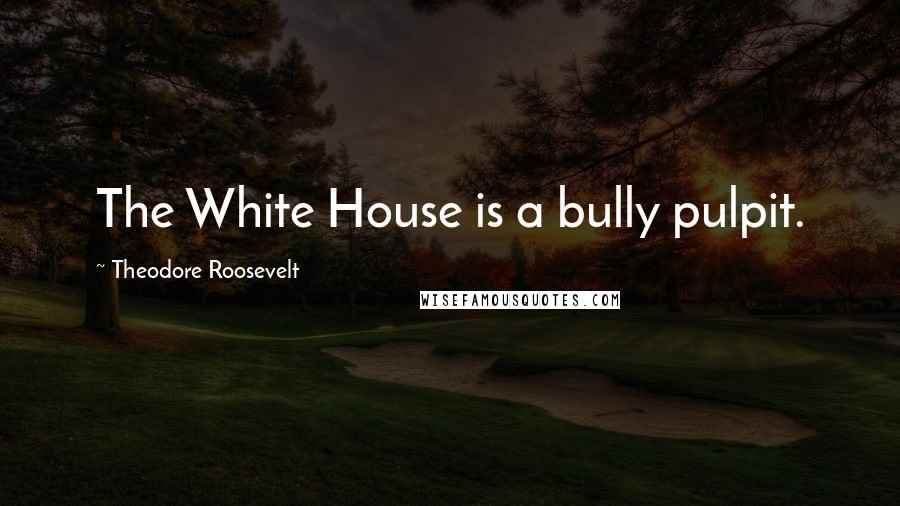Theodore Roosevelt Quotes: The White House is a bully pulpit.