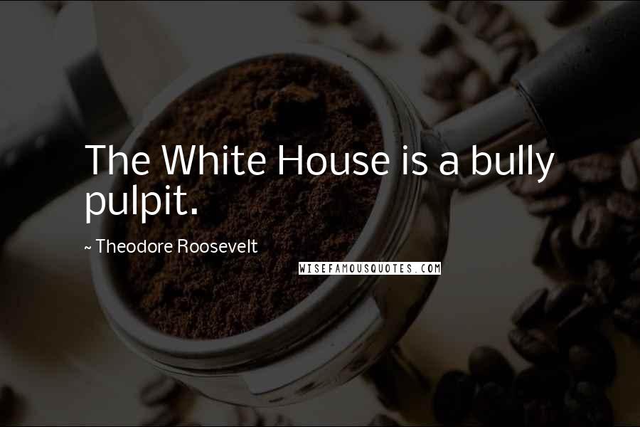 Theodore Roosevelt Quotes: The White House is a bully pulpit.