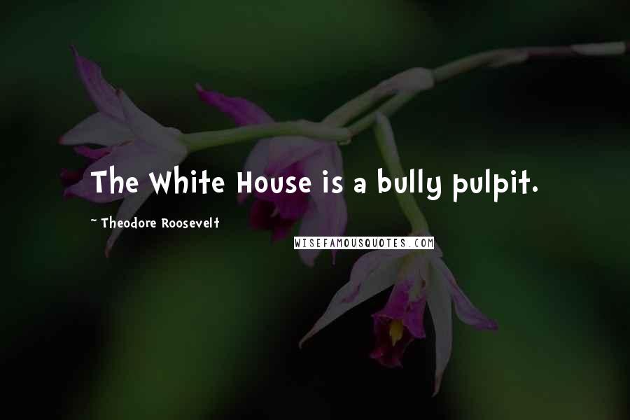 Theodore Roosevelt Quotes: The White House is a bully pulpit.