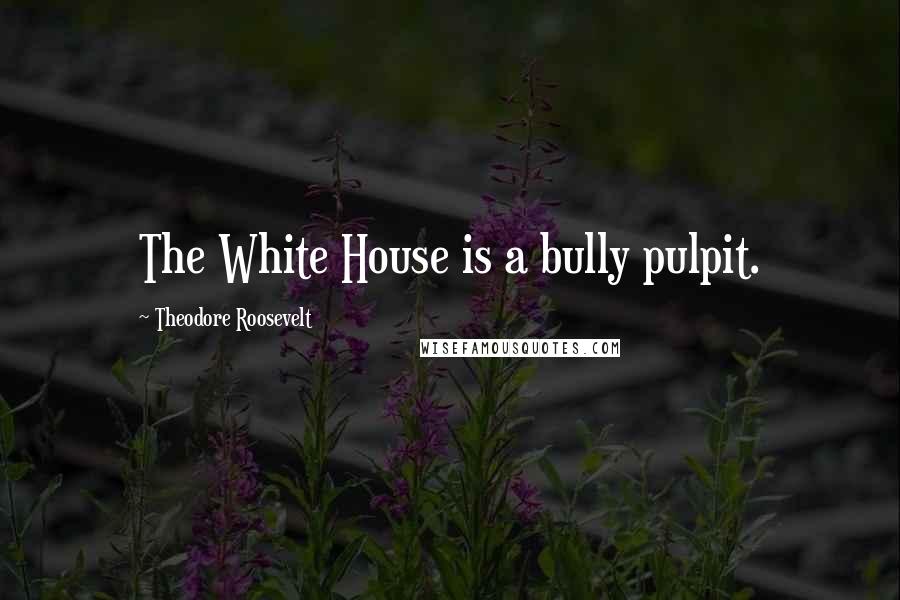 Theodore Roosevelt Quotes: The White House is a bully pulpit.