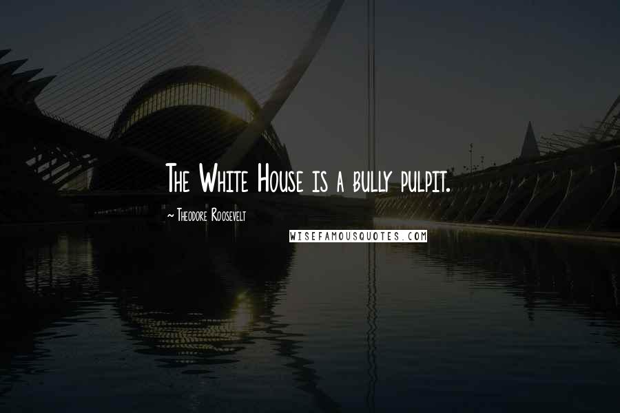 Theodore Roosevelt Quotes: The White House is a bully pulpit.