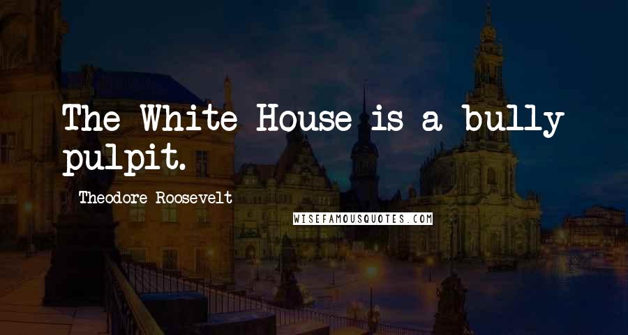 Theodore Roosevelt Quotes: The White House is a bully pulpit.