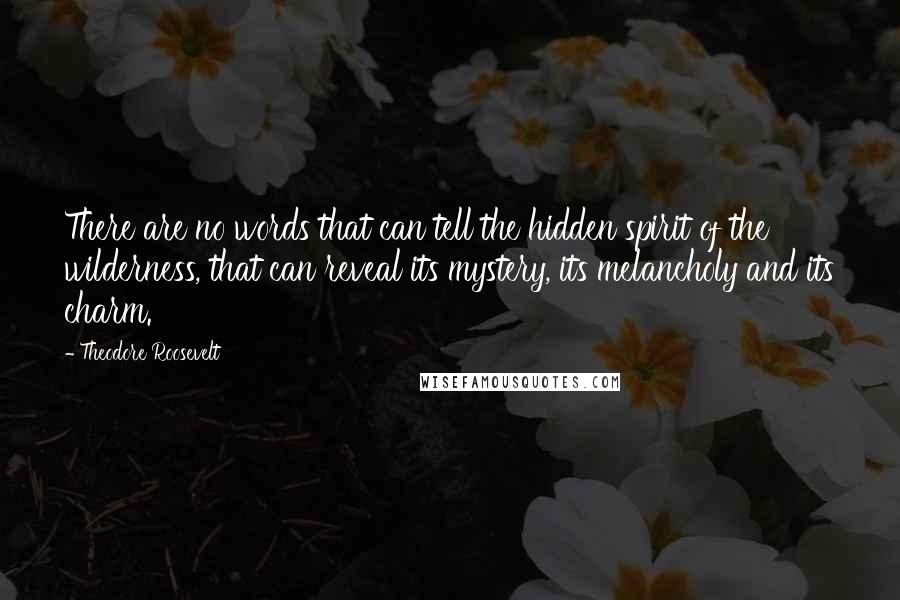 Theodore Roosevelt Quotes: There are no words that can tell the hidden spirit of the wilderness, that can reveal its mystery, its melancholy and its charm.