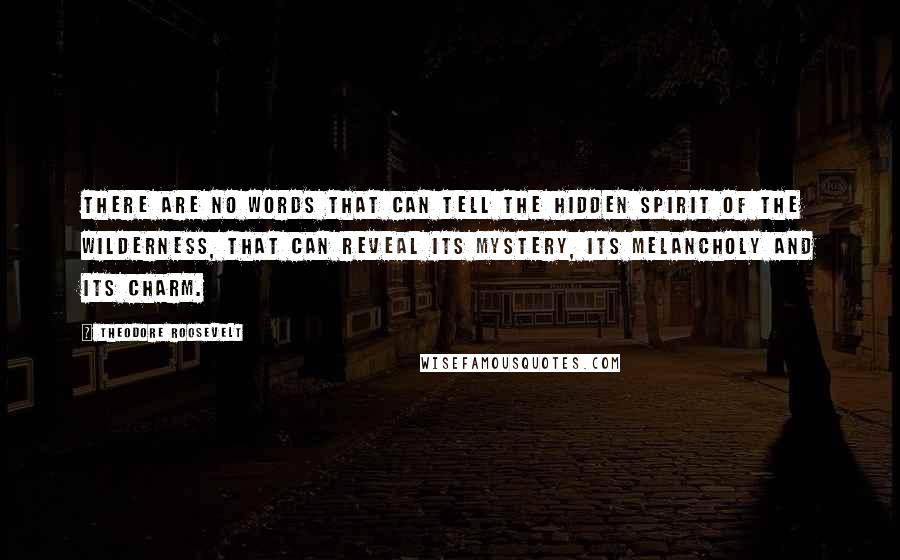 Theodore Roosevelt Quotes: There are no words that can tell the hidden spirit of the wilderness, that can reveal its mystery, its melancholy and its charm.