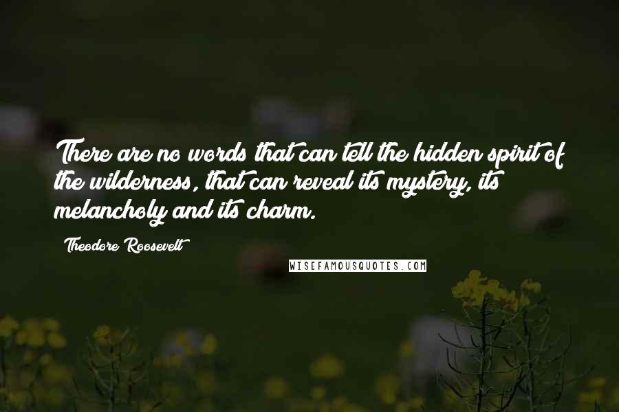 Theodore Roosevelt Quotes: There are no words that can tell the hidden spirit of the wilderness, that can reveal its mystery, its melancholy and its charm.