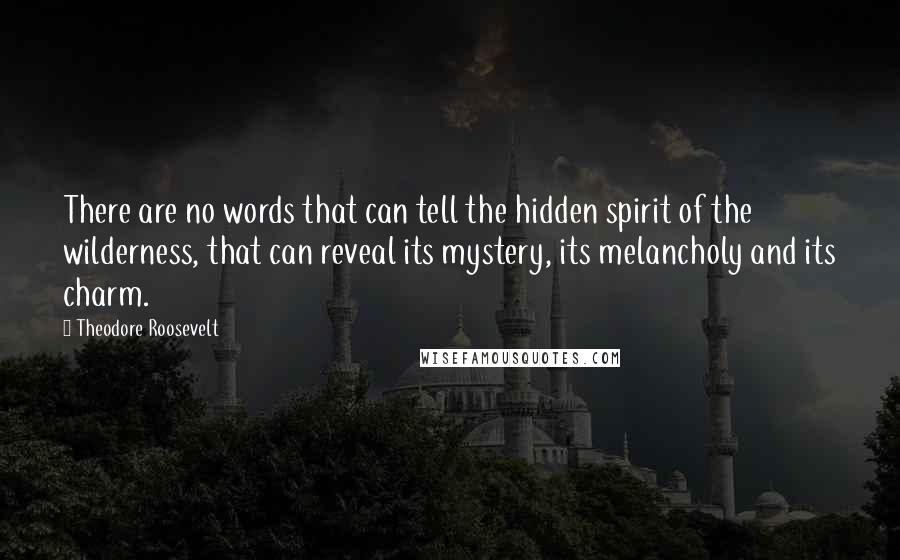 Theodore Roosevelt Quotes: There are no words that can tell the hidden spirit of the wilderness, that can reveal its mystery, its melancholy and its charm.