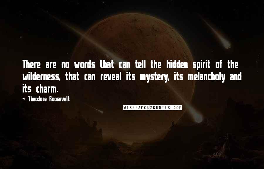 Theodore Roosevelt Quotes: There are no words that can tell the hidden spirit of the wilderness, that can reveal its mystery, its melancholy and its charm.