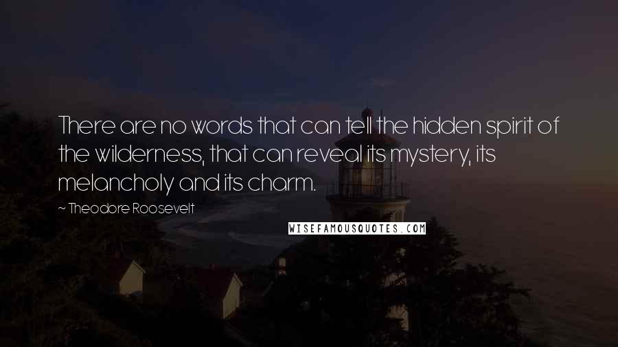 Theodore Roosevelt Quotes: There are no words that can tell the hidden spirit of the wilderness, that can reveal its mystery, its melancholy and its charm.