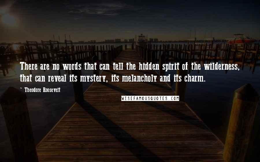 Theodore Roosevelt Quotes: There are no words that can tell the hidden spirit of the wilderness, that can reveal its mystery, its melancholy and its charm.