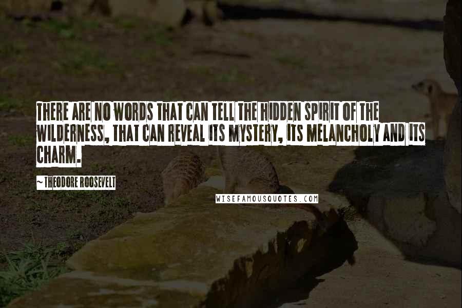 Theodore Roosevelt Quotes: There are no words that can tell the hidden spirit of the wilderness, that can reveal its mystery, its melancholy and its charm.