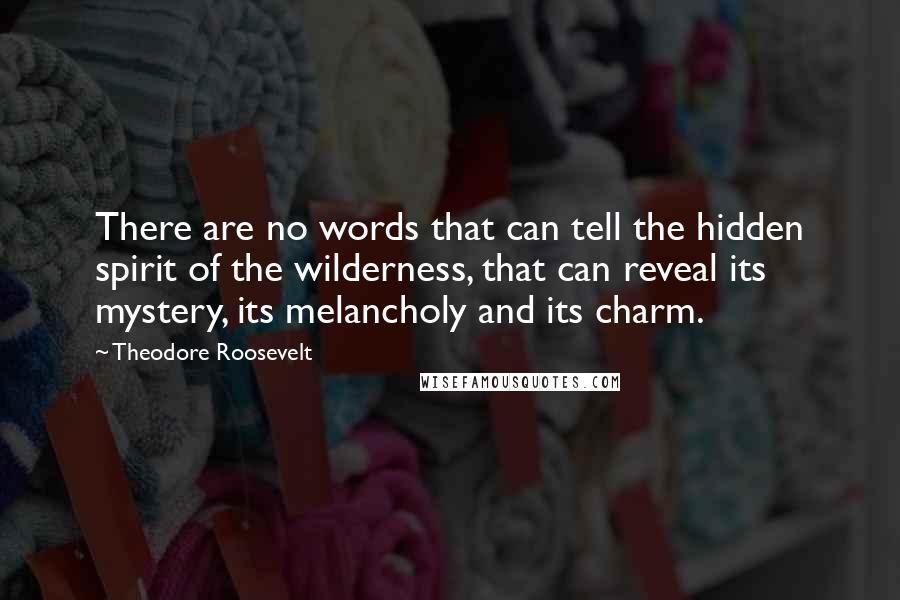 Theodore Roosevelt Quotes: There are no words that can tell the hidden spirit of the wilderness, that can reveal its mystery, its melancholy and its charm.