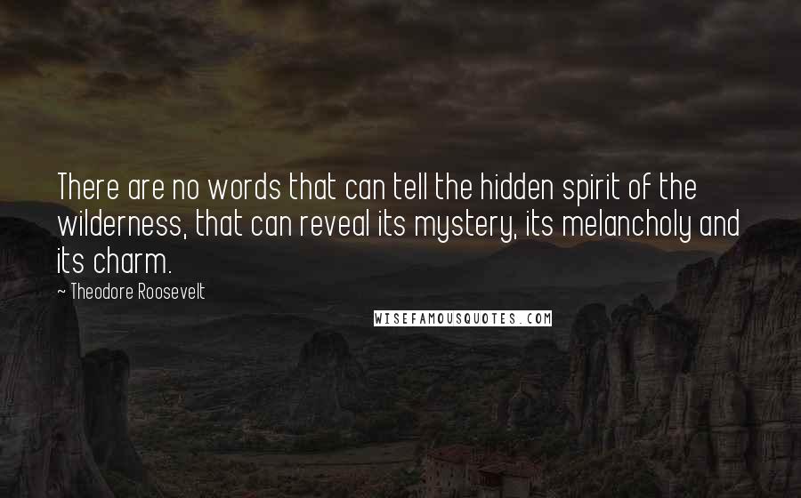 Theodore Roosevelt Quotes: There are no words that can tell the hidden spirit of the wilderness, that can reveal its mystery, its melancholy and its charm.