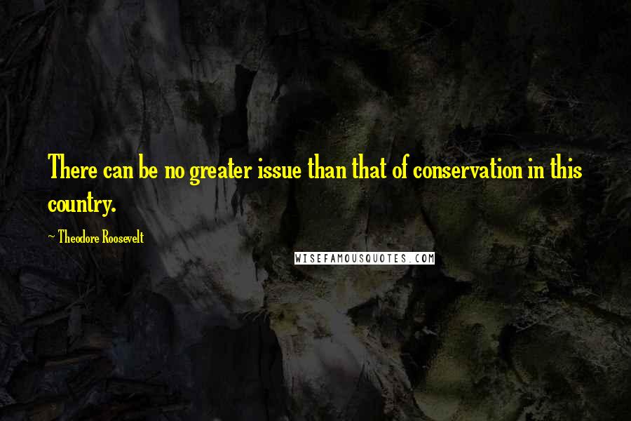 Theodore Roosevelt Quotes: There can be no greater issue than that of conservation in this country.