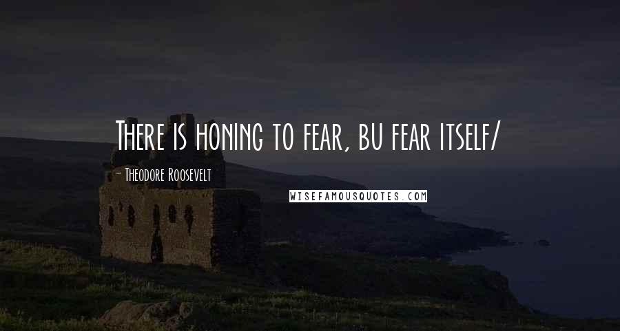 Theodore Roosevelt Quotes: There is honing to fear, bu fear itself/