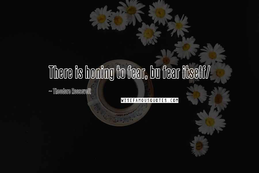 Theodore Roosevelt Quotes: There is honing to fear, bu fear itself/