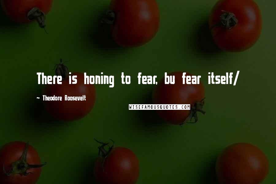 Theodore Roosevelt Quotes: There is honing to fear, bu fear itself/