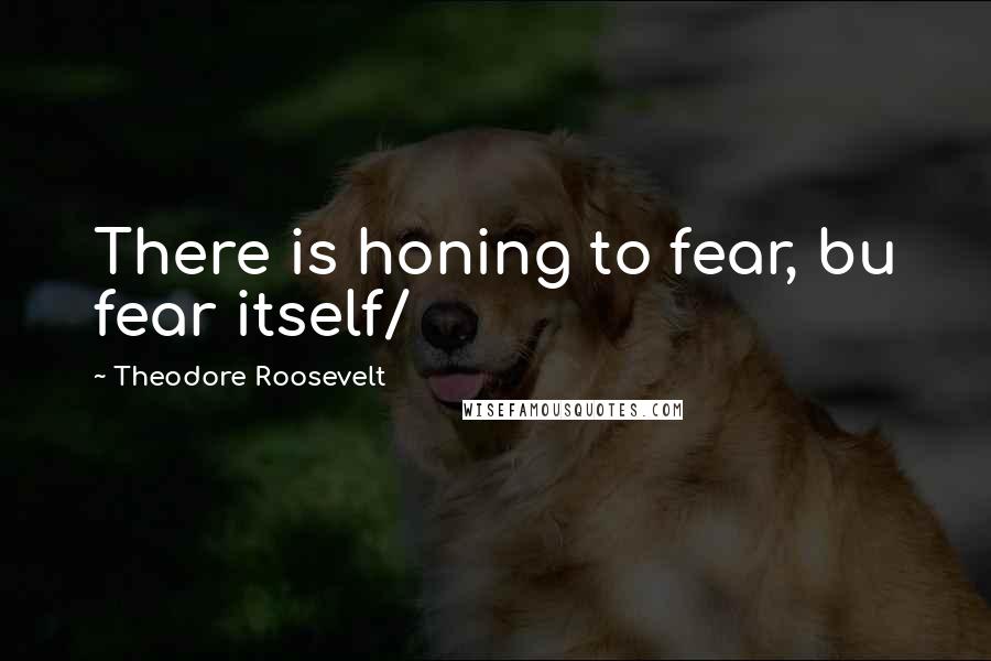 Theodore Roosevelt Quotes: There is honing to fear, bu fear itself/