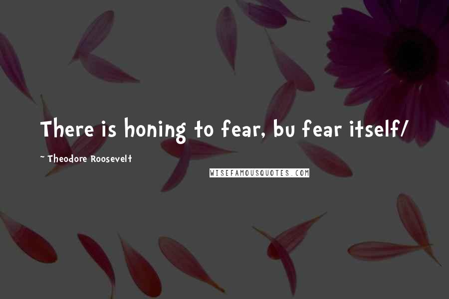 Theodore Roosevelt Quotes: There is honing to fear, bu fear itself/