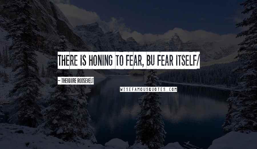 Theodore Roosevelt Quotes: There is honing to fear, bu fear itself/