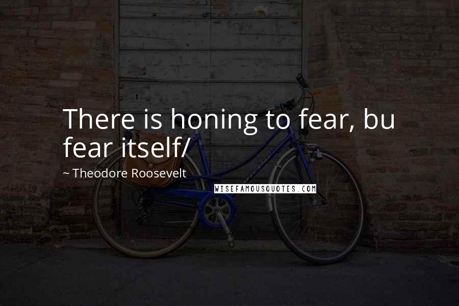 Theodore Roosevelt Quotes: There is honing to fear, bu fear itself/