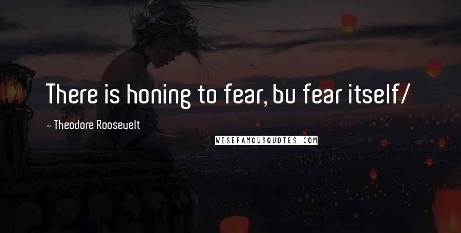 Theodore Roosevelt Quotes: There is honing to fear, bu fear itself/