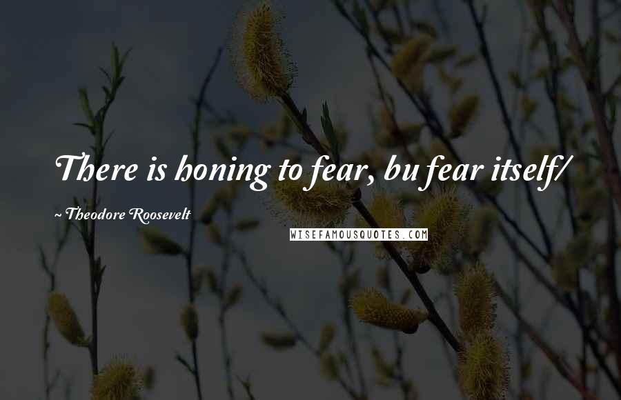 Theodore Roosevelt Quotes: There is honing to fear, bu fear itself/