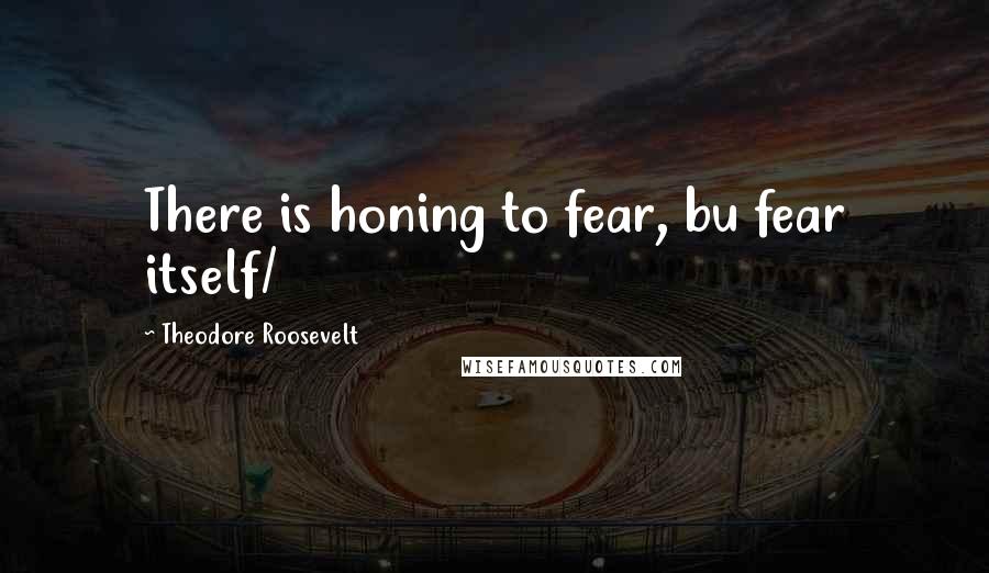Theodore Roosevelt Quotes: There is honing to fear, bu fear itself/