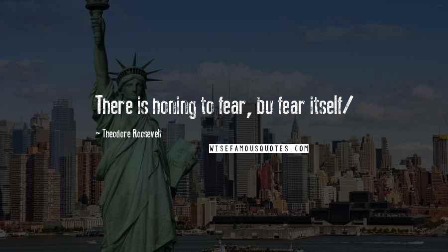 Theodore Roosevelt Quotes: There is honing to fear, bu fear itself/