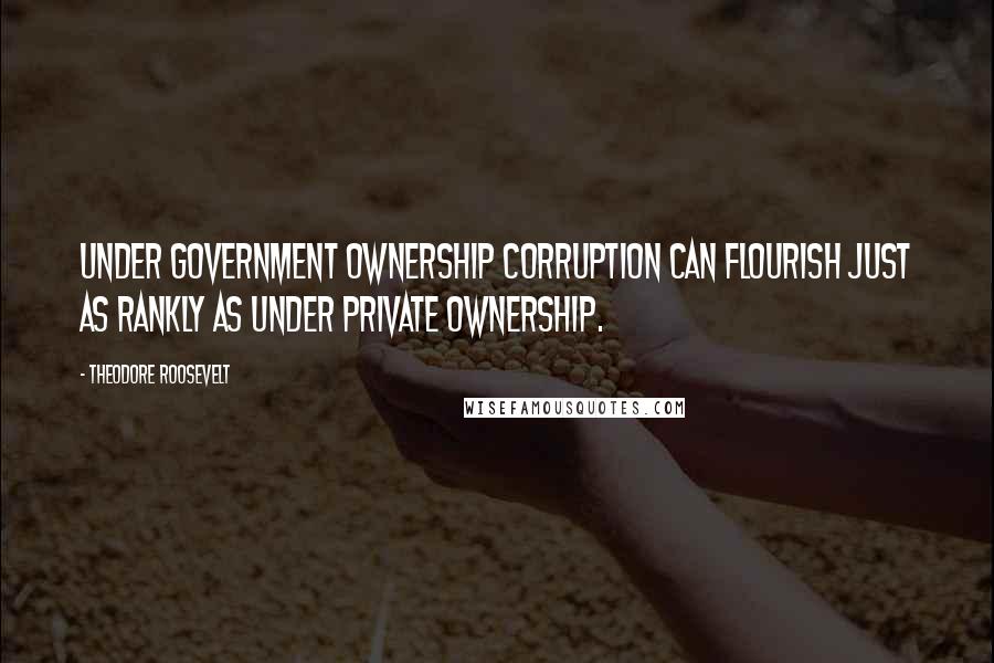 Theodore Roosevelt Quotes: Under government ownership corruption can flourish just as rankly as under private ownership.