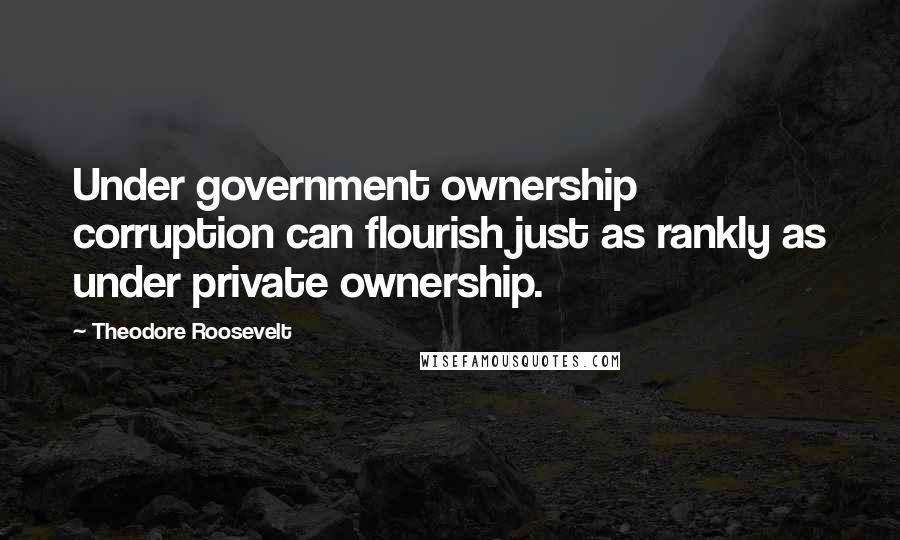 Theodore Roosevelt Quotes: Under government ownership corruption can flourish just as rankly as under private ownership.