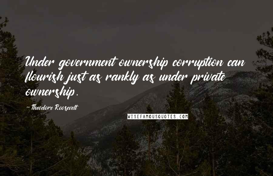 Theodore Roosevelt Quotes: Under government ownership corruption can flourish just as rankly as under private ownership.