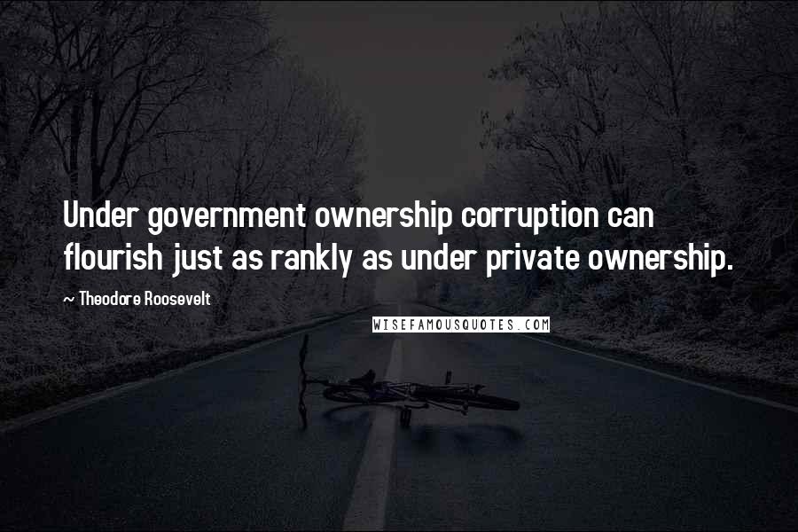 Theodore Roosevelt Quotes: Under government ownership corruption can flourish just as rankly as under private ownership.