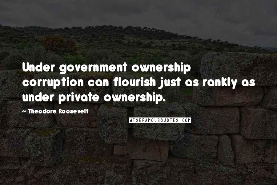 Theodore Roosevelt Quotes: Under government ownership corruption can flourish just as rankly as under private ownership.