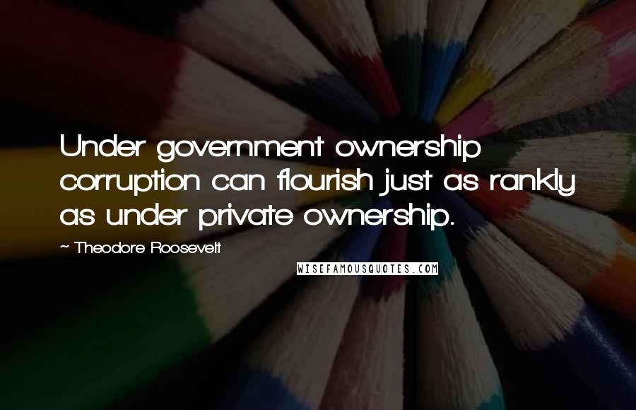 Theodore Roosevelt Quotes: Under government ownership corruption can flourish just as rankly as under private ownership.