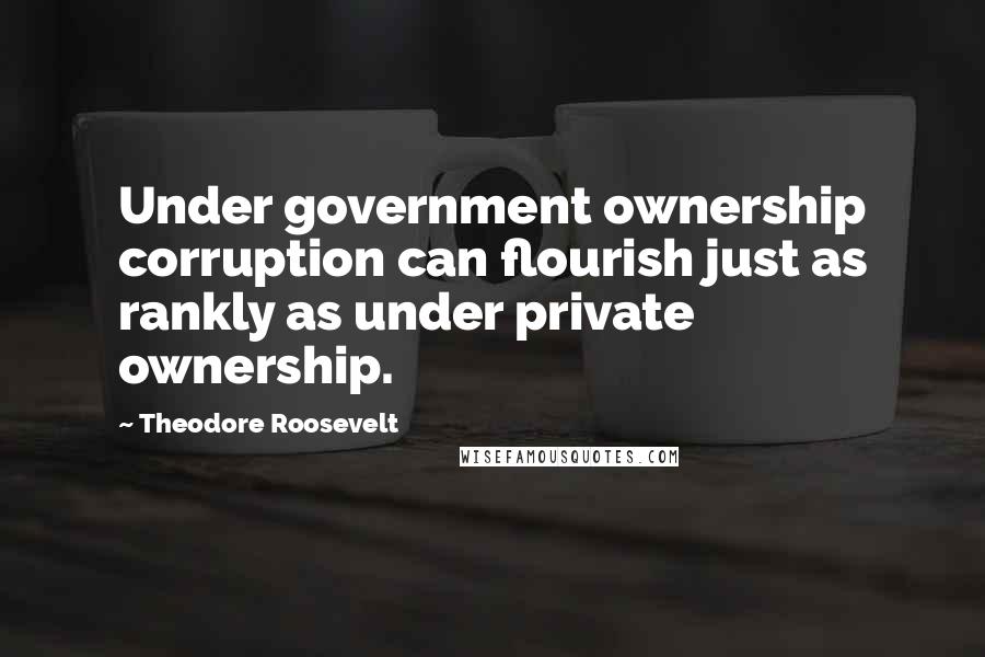 Theodore Roosevelt Quotes: Under government ownership corruption can flourish just as rankly as under private ownership.