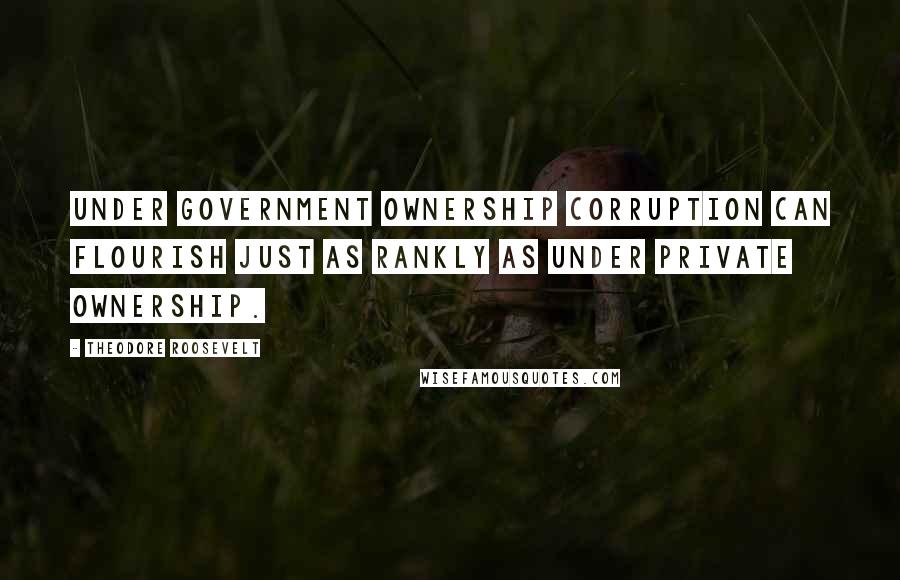 Theodore Roosevelt Quotes: Under government ownership corruption can flourish just as rankly as under private ownership.