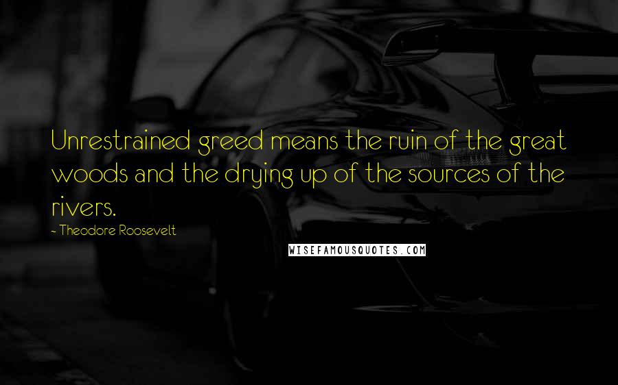 Theodore Roosevelt Quotes: Unrestrained greed means the ruin of the great woods and the drying up of the sources of the rivers.