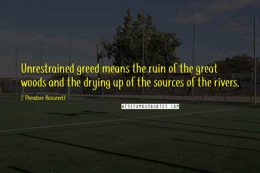 Theodore Roosevelt Quotes: Unrestrained greed means the ruin of the great woods and the drying up of the sources of the rivers.