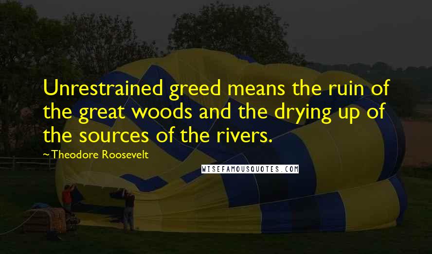 Theodore Roosevelt Quotes: Unrestrained greed means the ruin of the great woods and the drying up of the sources of the rivers.