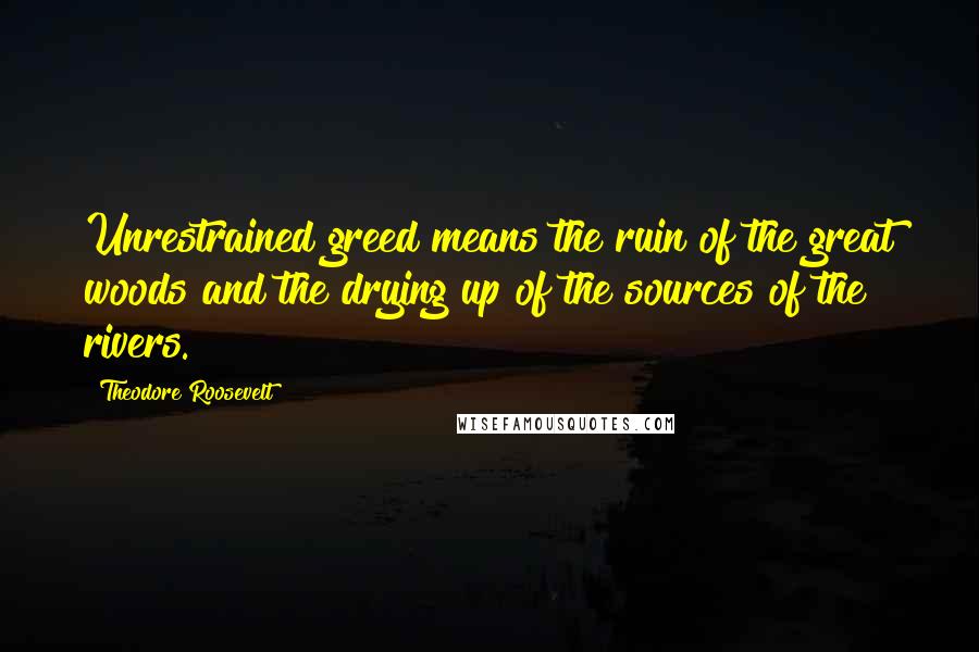 Theodore Roosevelt Quotes: Unrestrained greed means the ruin of the great woods and the drying up of the sources of the rivers.