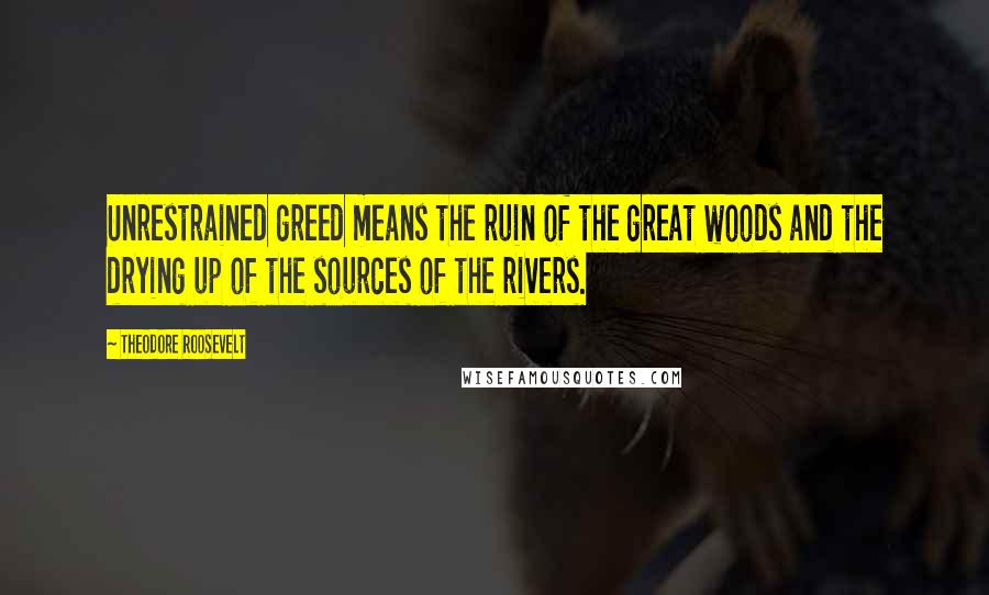 Theodore Roosevelt Quotes: Unrestrained greed means the ruin of the great woods and the drying up of the sources of the rivers.