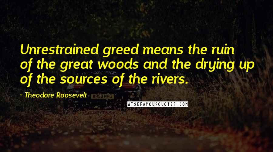 Theodore Roosevelt Quotes: Unrestrained greed means the ruin of the great woods and the drying up of the sources of the rivers.