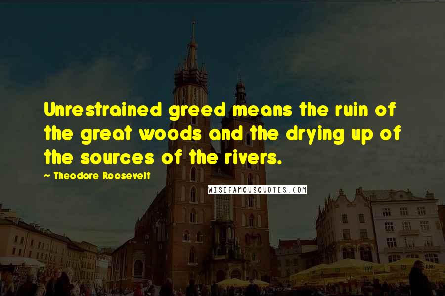 Theodore Roosevelt Quotes: Unrestrained greed means the ruin of the great woods and the drying up of the sources of the rivers.