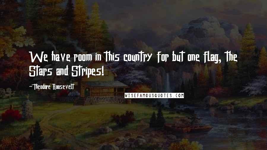 Theodore Roosevelt Quotes: We have room in this country for but one flag, the Stars and Stripes!