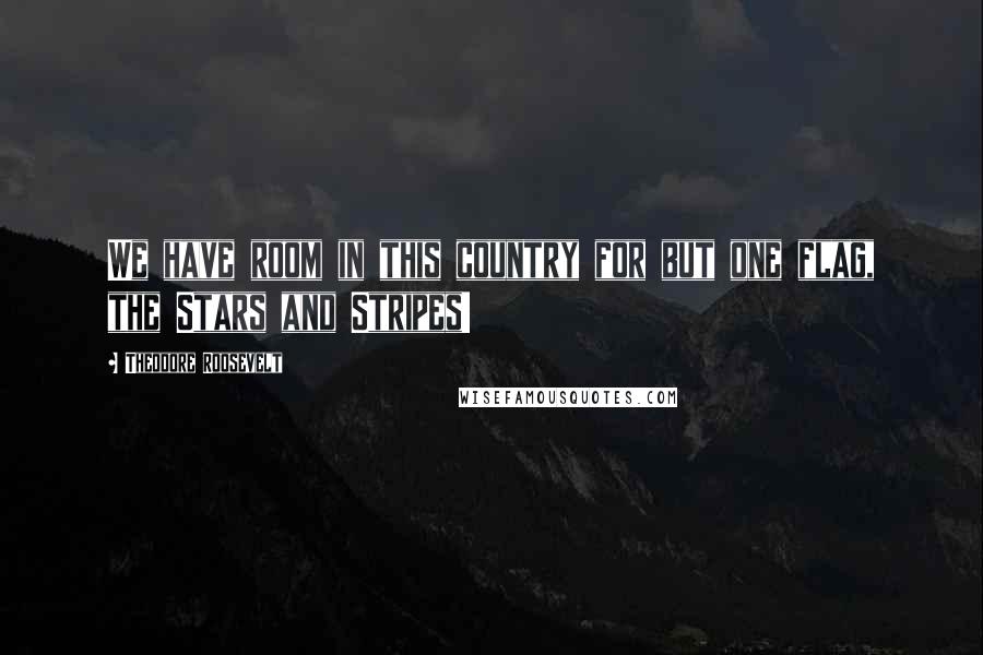 Theodore Roosevelt Quotes: We have room in this country for but one flag, the Stars and Stripes!