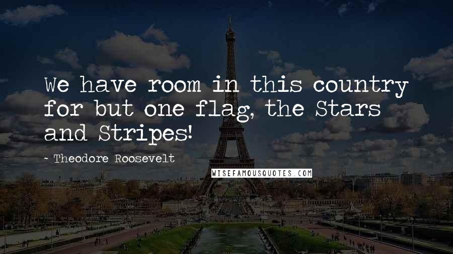 Theodore Roosevelt Quotes: We have room in this country for but one flag, the Stars and Stripes!