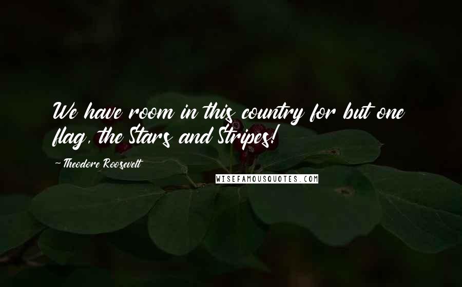 Theodore Roosevelt Quotes: We have room in this country for but one flag, the Stars and Stripes!