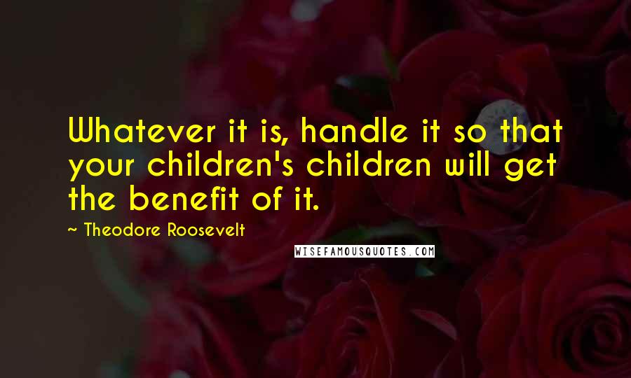 Theodore Roosevelt Quotes: Whatever it is, handle it so that your children's children will get the benefit of it.